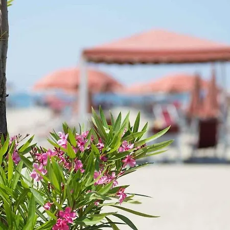 Hotel Casa Per Ferie Nostra Signora Tonfano Marina di Pietrasanta