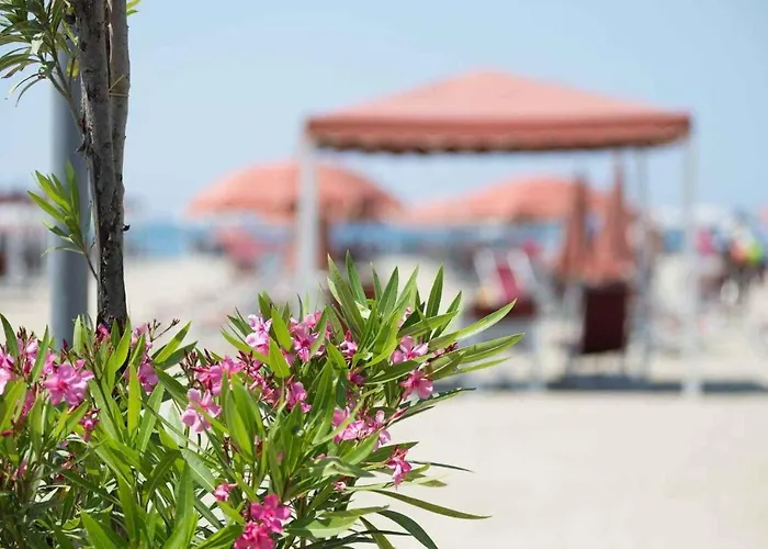 Hotel Casa Per Ferie Nostra Signora Tonfano Marina di Pietrasanta